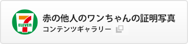 赤の他人のワンちゃんの証明写真　セブン‐イレブンで購入