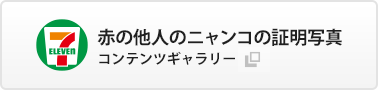 赤の他人のニャンコの証明写真　セブン‐イレブンで購入
