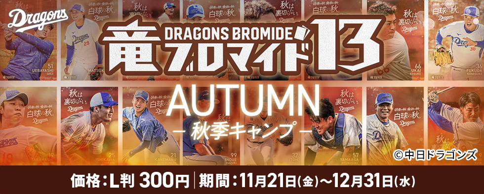 竜ブロマイド13　AUTUMN　－秋季キャンプー