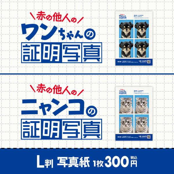 赤の他人のワンちゃんの証明写真・赤の他人のニャンコの証明写真