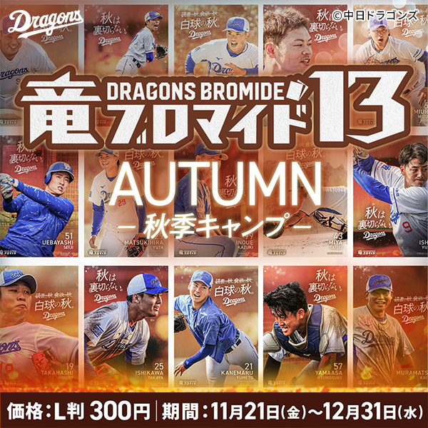 竜ブロマイド13　AUTUMN　－秋季キャンプー