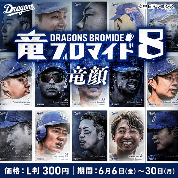 竜ブロマイド8　竜顔