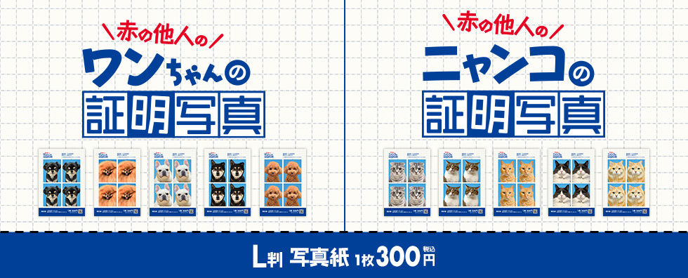 コンテンツのデパート！こんぷりん