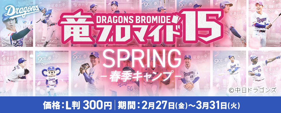 竜ブロマイド15 SPRING-春季キャンプ-
