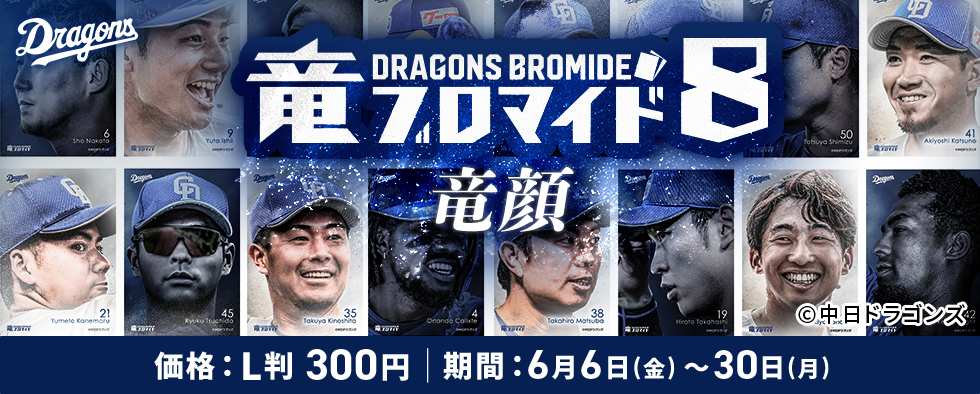 竜ブロマイド8　竜顔