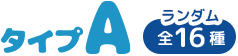 タイプA　ランダム全16種