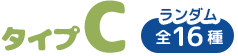 タイプC　ランダム全16種