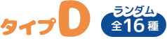 タイプD　ランダム全16種